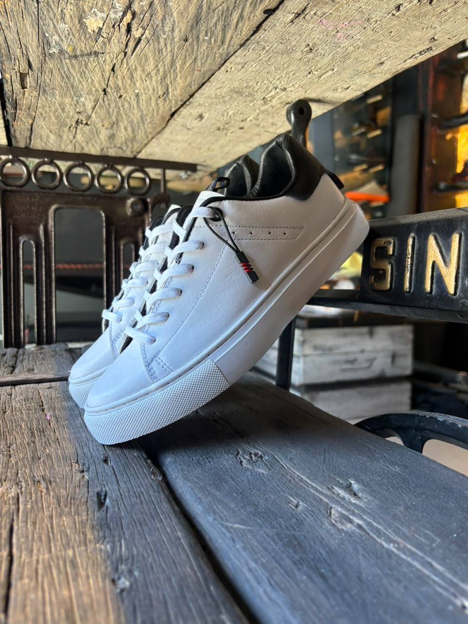 MONARCH WHITE